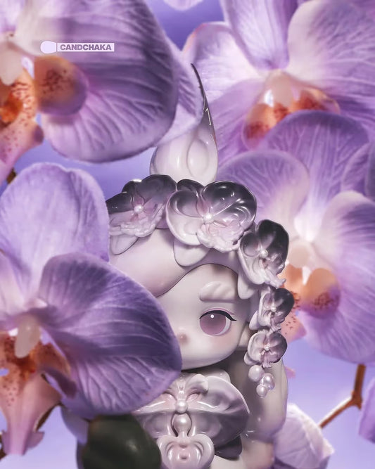 CHAKA-Fly to Me Limited